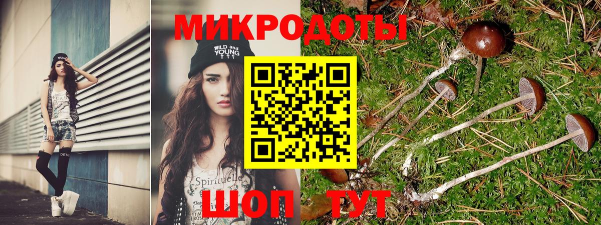 наркота  Галлюциногенные грибы Cubensis  Вход с VPN  Иваново 